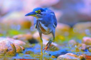 英超推迟开赛，全面解析影响与应对措施英超联赛推迟